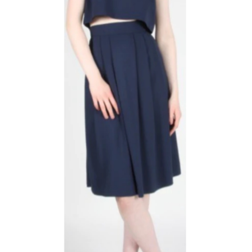 Navy pleated skirt by Birds of North America 🇨🇦